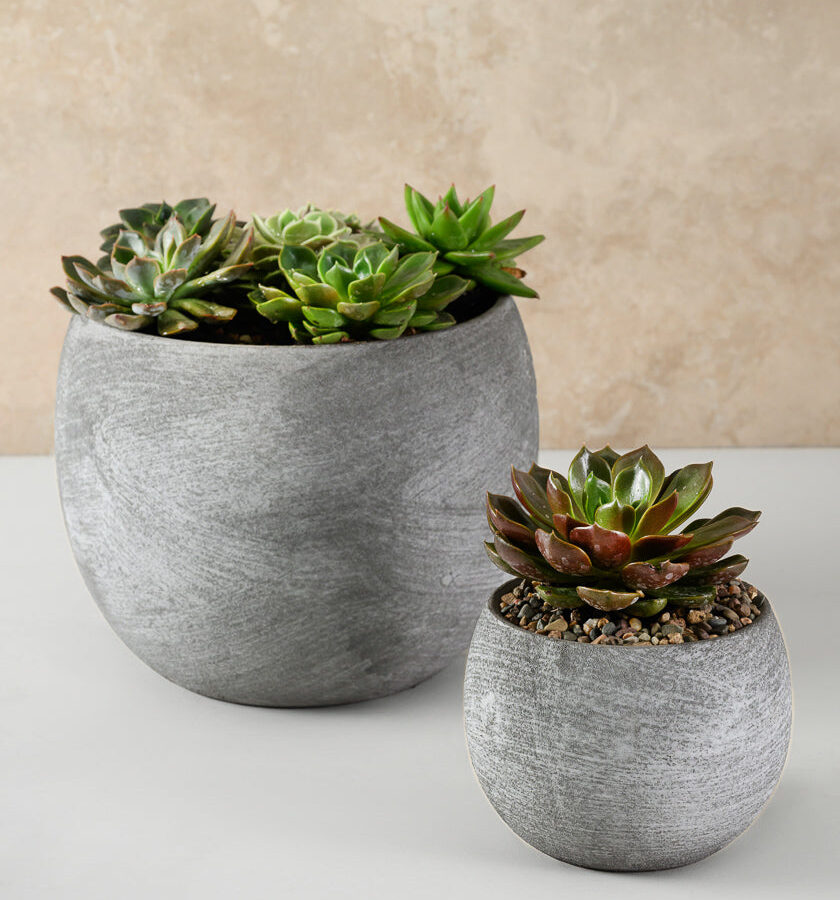 Venetian Grey Ceramic Pot
