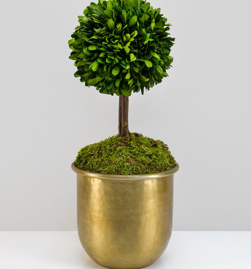 Brass-Look Aluminum Pot