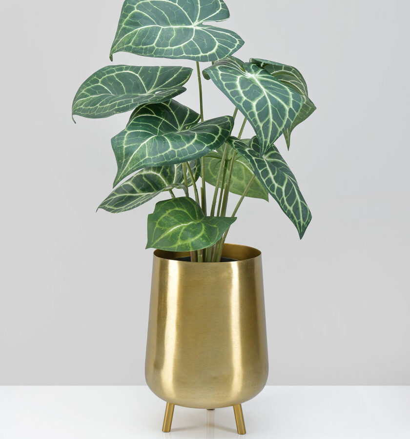 8in Tall Gold Iron Mini Planter with Legs