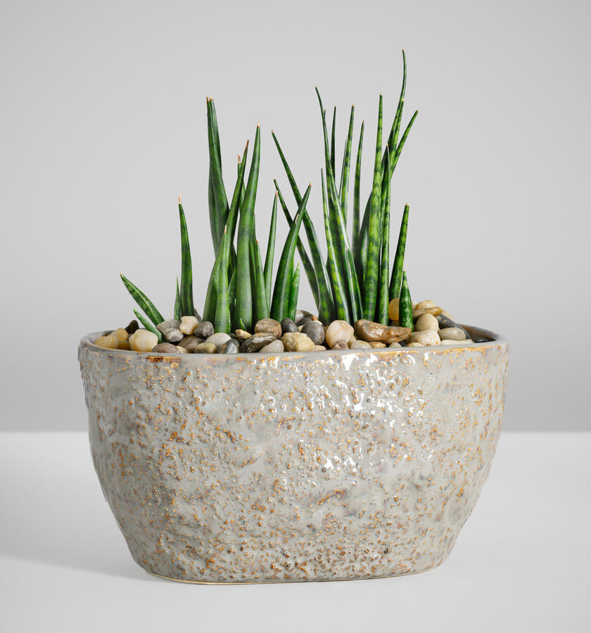 4.5in Tall Oval Taupe Ceramic Cachepot