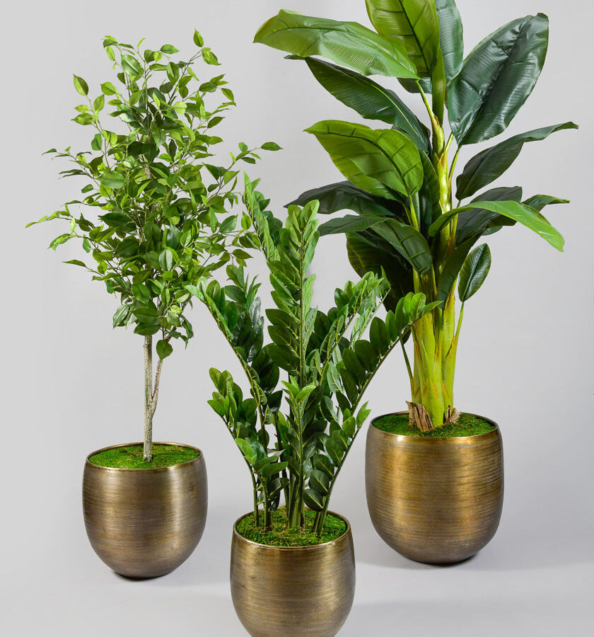 Zinc Cachepot Planter