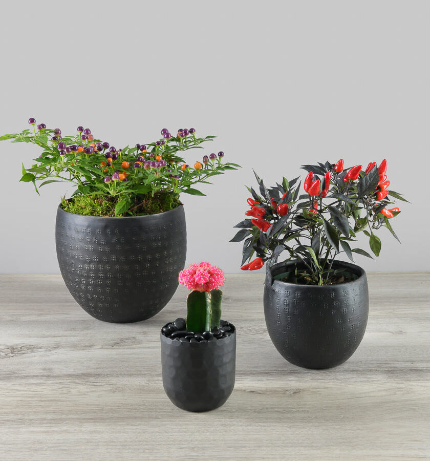 Aluminum Ethnic Black Pot