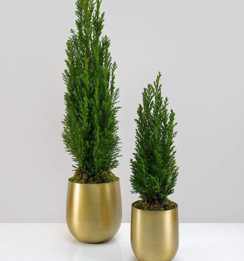 Brass-Look Aluminum Pot