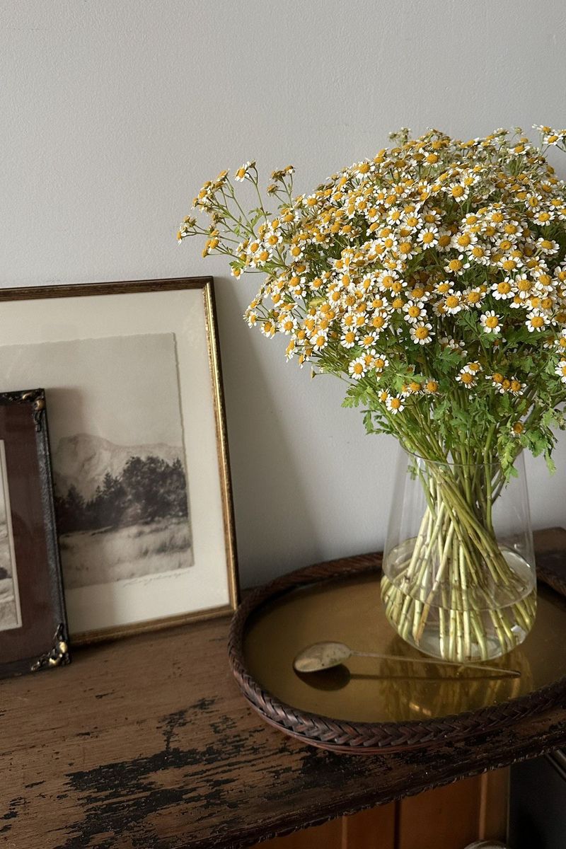 Decorative vases and planters styled in a warm interior